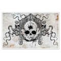 Fetal Skull Print